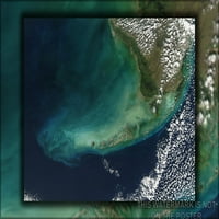 Plakat galerije 24 M. 36, Florida-Kees Landsat