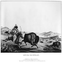Lov na bizone, 1837 Lov Na Bivole. Litografija temeljena na slici Petera Rindisbachera. Objavio E. S. Biddle 1837. Ispis plakata