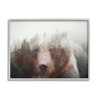 Sažetak divljih životinja šuma smeđeg medvjeda po maglovitom vremenu, 16 godina, dizajnirao Daniel Sproul