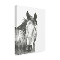 Zaštitni znak likovne umjetnosti 'Snapshot konj za divlje životinje I' Canvas Art by Naomi McCavitt