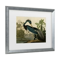 Zaštitni znak likovna umjetnost 'Louisiana Heron' Matted Framed Art by John James Audubon