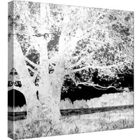 Slike, ekranizirano stablo B, 20x20, ukrasna zidna umjetnost platna