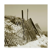 Zaštitni znak likovne umjetnosti 'Ograde u pijesku I' platno umjetnost Noah Bay