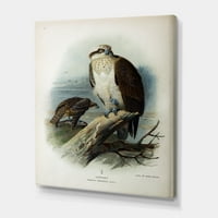 Drevni život ptica na platnu slika na platnu umjetnički tisak