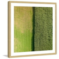 Marmont Hill Zeleni redovi KAROLIS JANULIS uokvireni slikarski tisak